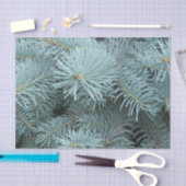 Blauer Fichtengrauer Winter Seidenpapier (Handwerk)