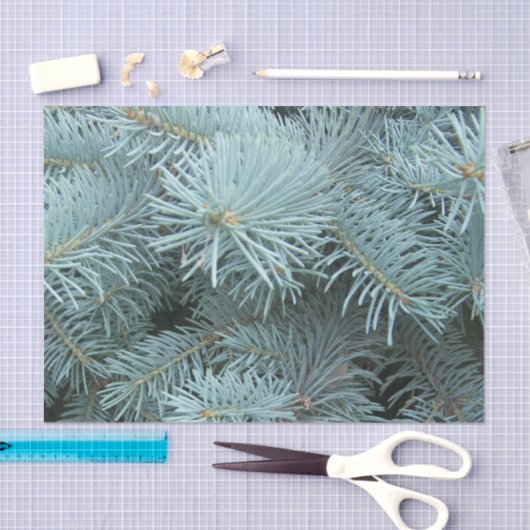 Blauer Fichtengrauer Winter Seidenpapier (Handwerk)