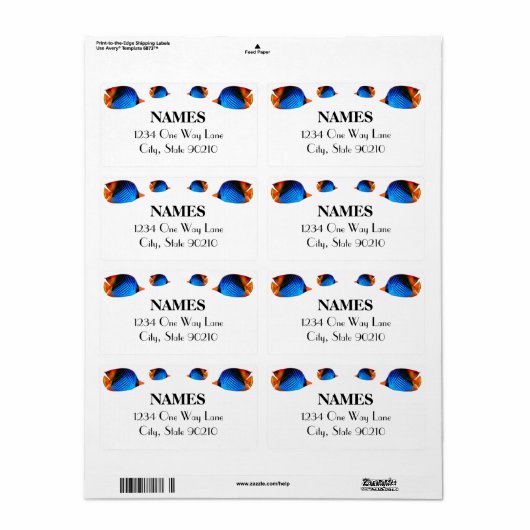 Blauer Fisch (Vorne)