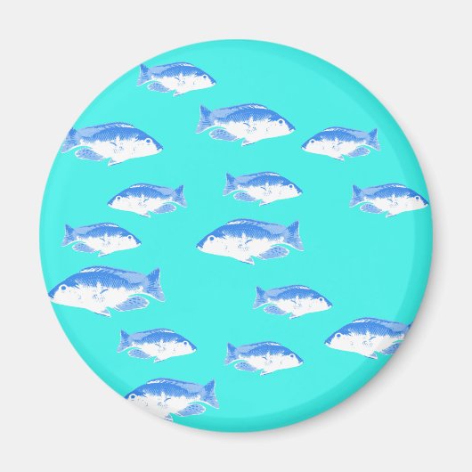 Blauer Fisch auf Türkis Magnet (Vorne)