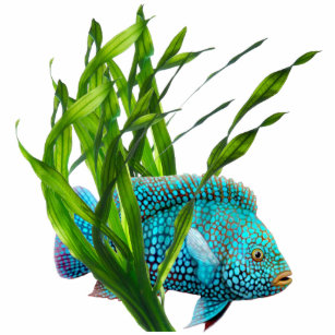Blauer Fisch im Seetang-Schlüsselanhänger Fotoskulptur Schlüsselanhänger