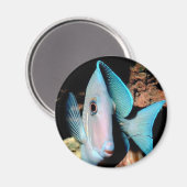 Blauer Fisch Magnet (Vorderseite/Rückseite)