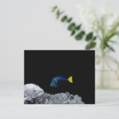 Blauer Fisch Postkarte (Stehend Vorderseite)