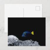 Blauer Fisch Postkarte (Vorne/Hinten)