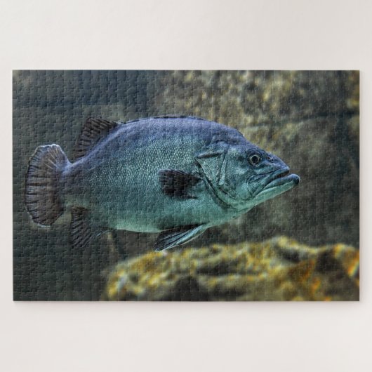 Blauer Fisch Puzzle (Horizontal)