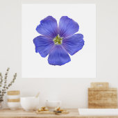 Blauer Flachs #1 Poster (Küche)
