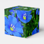 Blauer Flachs-Linum-Blume-SQUARE-FELD Geschenkschachtel (Rückseite)