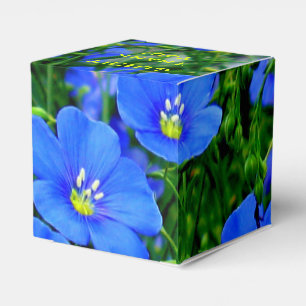 Blauer Flachs-Linum-Blume-SQUARE-HERZEN-FASERBOX Geschenkschachtel