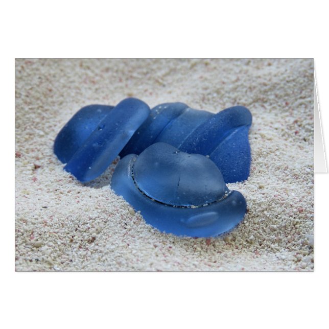 Blauer Flaschengitter (Vorderseite (Horizontal))