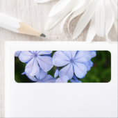 Blauer Floraler Bokeh (Insitu)