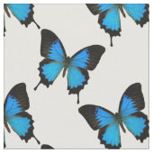 Blauer Frack Butterfly Stoff (Nahaufnahme)