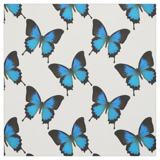 Blauer Frack Butterfly Stoff (Muster)