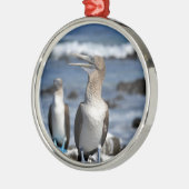 Blauer Fußboobier Galapagos-Inseln Ornament Aus Metall (Links)