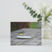 Blauer Füttre einer Kuchenplatte Feiertagspostkarte (Stehend Vorderseite)