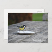 Blauer Füttre einer Kuchenplatte Feiertagspostkarte (Vorne/Hinten)