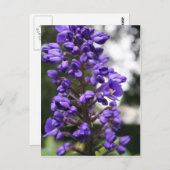 Blauer Gänger Postkarte (Vorne/Hinten)