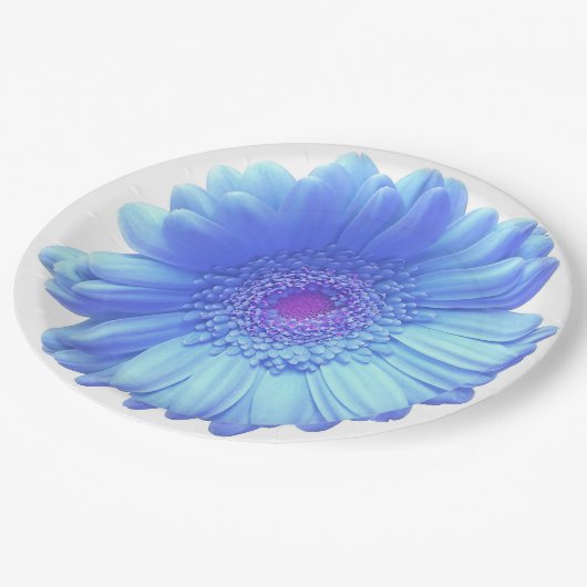 Blauer Gänseblümchen Pappteller (Schrägansicht)