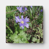 Blauer Garten Blume Fotoplatte (Vorderseite)