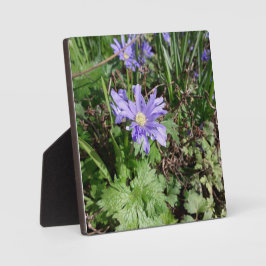 Blauer Garten Blume Fotoplatte