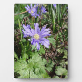 Blauer Garten Blume Fotoplatte (Vorderseite)