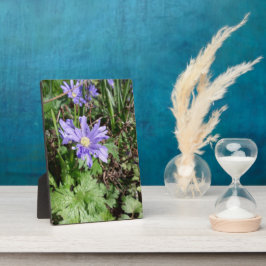 Blauer Garten Blume Fotoplatte