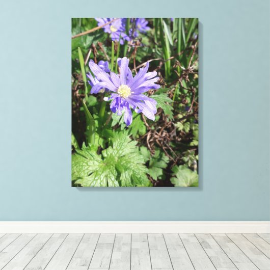 Blauer Garten Blume Leinwanddruck (Insitu (Holzboden))