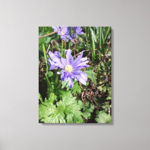 Blauer Garten Blume Leinwanddruck