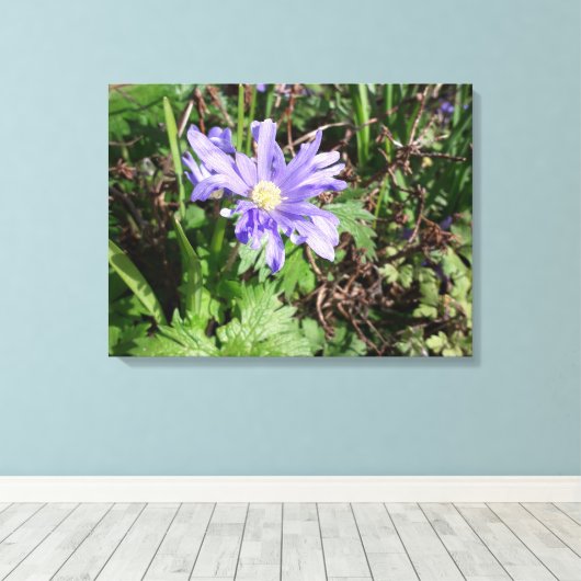 Blauer Garten Blume Leinwanddruck (Insitu (Holzboden))