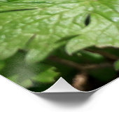 Blauer Garten Blume Poster (Ecke)