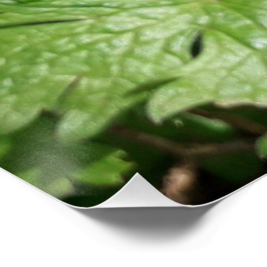 Blauer Garten Blume Poster (Ecke)