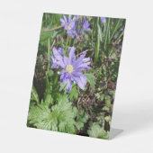 Blauer Garten Blume Sockelschild (Vorderseite)