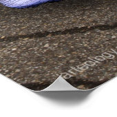 BLAUER GEBURT POSTER (Ecke)
