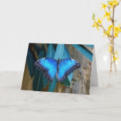 Blauer Gemeiner Morpho Schmetterling Karte (Gelbe Blume)