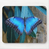 Blauer Gemeiner Morpho Schmetterling Mousepad (Vorne)