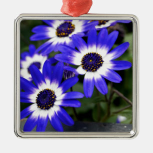 Blauer gestrichener Tagel Silbernes Ornament