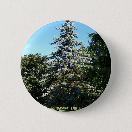 Blauer gezierter Knopf Button (Vorderseite)