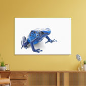Blauer Gift-Dart-Frosch (Dendrobates-Tinctorius) Leinwanddruck (Insitu (Wohnzimmer))