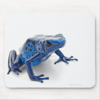 Blauer Gift-Dart-Frosch (Dendrobates-Tinctorius) Mousepad