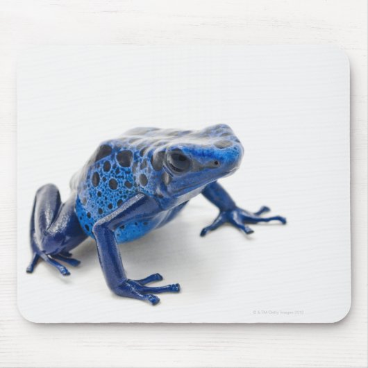 Blauer Gift-Dart-Frosch (Dendrobates-Tinctorius) Mousepad (Vorne)