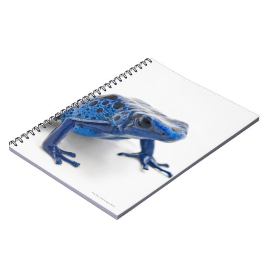 Blauer Gift-Dart-Frosch (Dendrobates-Tinctorius) Notizblock (Linke Seite)