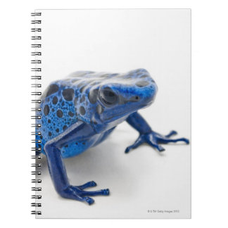 Blauer Gift-Dart-Frosch (Dendrobates-Tinctorius) Notizblock