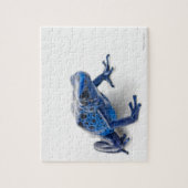 Blauer Gift-Dart-Frosch (Dendrobates-Tinctorius) Puzzle (Vertikal)