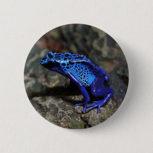 Blauer Gift-Dart-Frosch, heller Blaufrosch Button