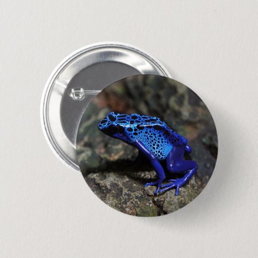 Blauer Gift-Dart-Frosch, heller Blaufrosch Button (Vorne & Hinten)