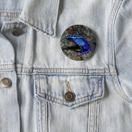 Blauer Gift-Dart-Frosch, heller Blaufrosch Button (Beispiel)