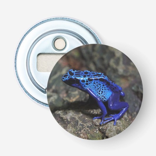 Blauer Gift-Dart-Frosch, heller Blaufrosch Flaschenöffner (Vorderseite)