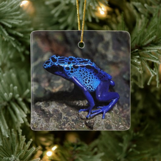 Blauer Gift-Dart-Frosch, heller Blaufrosch Keramikornament (Baum)