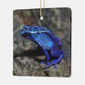 Blauer Gift-Dart-Frosch, heller Blaufrosch Keramikornament (Links)