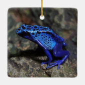 Blauer Gift-Dart-Frosch, heller Blaufrosch Keramikornament (Rückseite)