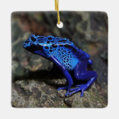 Blauer Gift-Dart-Frosch, heller Blaufrosch Keramikornament (Vorderseite)